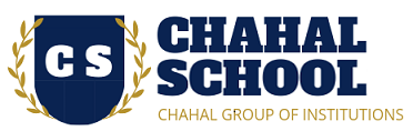 school and education